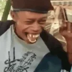 cat laugh ( normalguy)