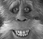 Joe Cocker Love Lives On