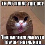 Futickle Bang Tooga Tang