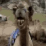 Andy Grammer - Honey, I'm Good.