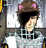 Aizen bankai
