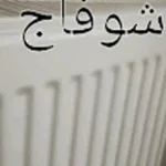 Recording 03/12/26 02:22:05