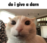 Bro did an outro sound effect