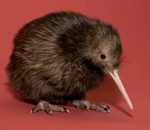 if you ever say that again