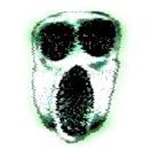 ambush scream