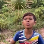 ay oi oi oi kid indian