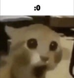 Scariest stories: Scary sentencing