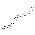 O Almeida não é meu amigo