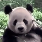 Normal ned version of big ed song