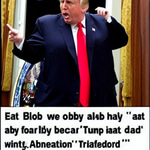 an idiot