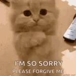 forgive me...