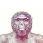 MC Collin - Papo de Sumiço (Progresso Funk)