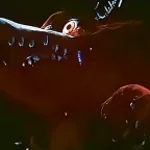 Withered awakening #3