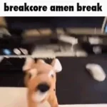 Wiggle break core