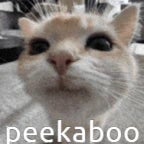 อะ จ๊ะเอ๋ตัวเอง - Sound