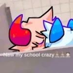 wow what a smart dog