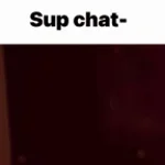 Disappearing Guy National Anthem