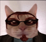 Would you please sign my petition