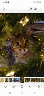 Sorry I didn't mean to do that to you Pookie bear