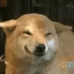 bandmc farted