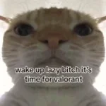 its time to leave dreamland (MEME)