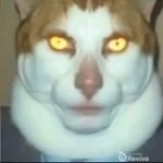 Monday left me broken