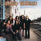 Free Bird Solo (pt.4)