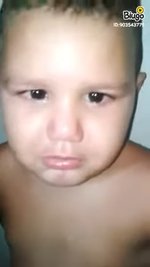 Meu Fi quer vê o que? - Sound