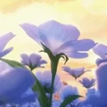 erikaSpedt ein kleines Blümlein  (copy)