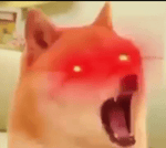 Angry Egyptian cussing