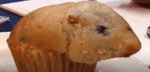 Someone baked a hamster inside my muffin