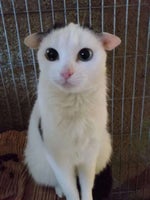 Gabriel's Message to you