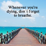 why you gotta be so rude dont you know im human too