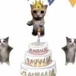 cats happy birthday