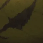 Skin Stealer Lure 1 SFX (Escape The Backrooms)