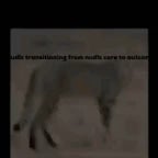 Soundboard warrior My leg!