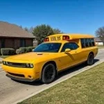 Tems Free Mind (copy)