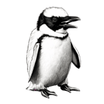 pops from regular show un jolly good morning