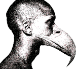 juden the final track