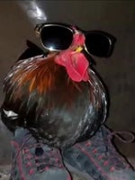 пон в попе - Sound