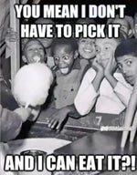 Big Poppa Extreme Bass Boosted