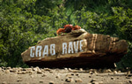 Crab Rave