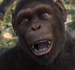 ย่ำกระหม่อม - Sound