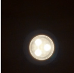 Deer in the highlights