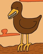 you killed my bird wife