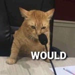 WOULD (volume warning)