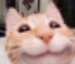 meow sound effect
