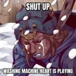washing machine heart - Sound