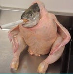 Maxim rn when i deleted his huges