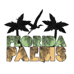 Sin City Chrishan(bass boosted)TikTok version